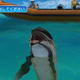 Illustration for article titled Taking A Dip In Endless Ocean 2 Screenshots